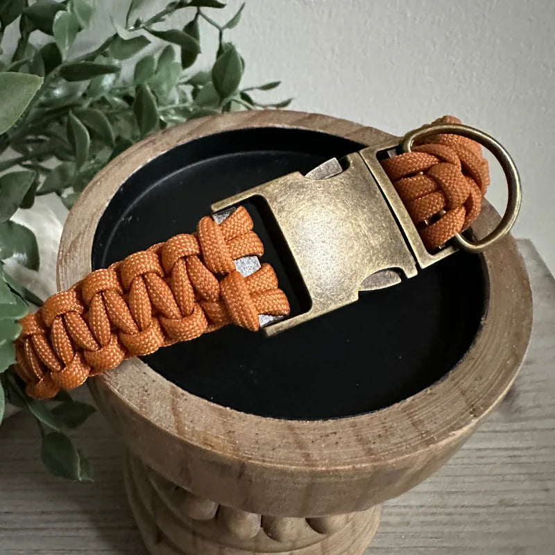 Handmade orange braided dog collar with a brass buckle, displayed in a wooden bowl with greenery.