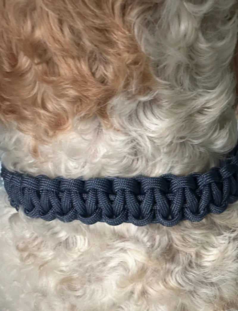 Navy blue handmade braided collar on a dog's neck, showcasing durable nylon paracord and intricate weaving.
