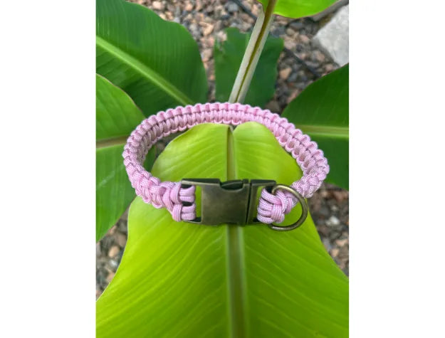 Handmade pink and white striped cobra braid dog collar with a side release buckle, resting on large green leaves.