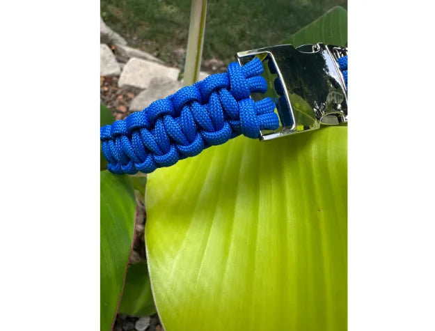 Handmade blue Cobra Braid dog collar close-up, featuring a shiny metal buckle and vibrant paracord against green leaves.