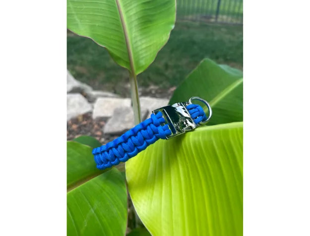 Vibrant blue handmade braided dog collar with a shiny metal buckle and D-ring, resting on a green leaf.