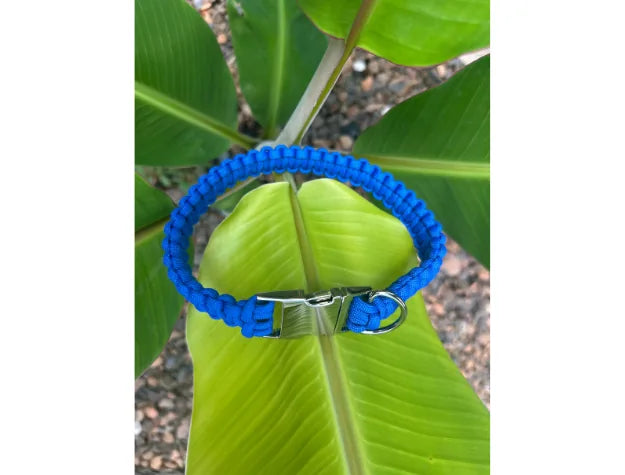 Bright blue handmade braided dog collar featuring a side release buckle, resting on vibrant green leaves.