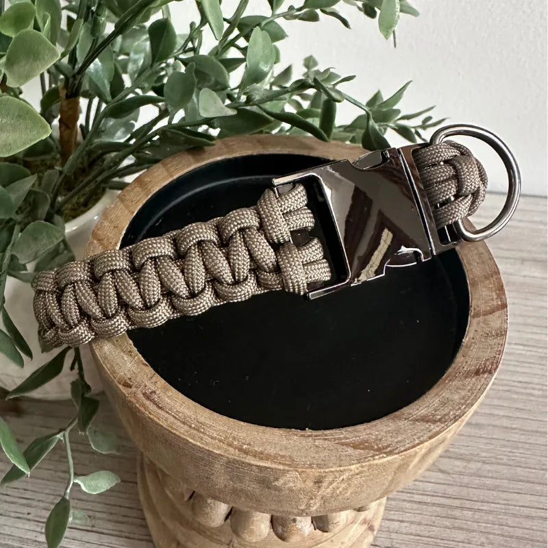 Tan handmade braided dog collar with a shiny metal buckle and D-ring, resting in a wooden bowl with greenery.