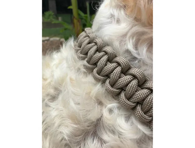 Tan Cobra Braid collar made from durable nylon paracord, showcasing a handwoven design on a fluffy dog's neck.