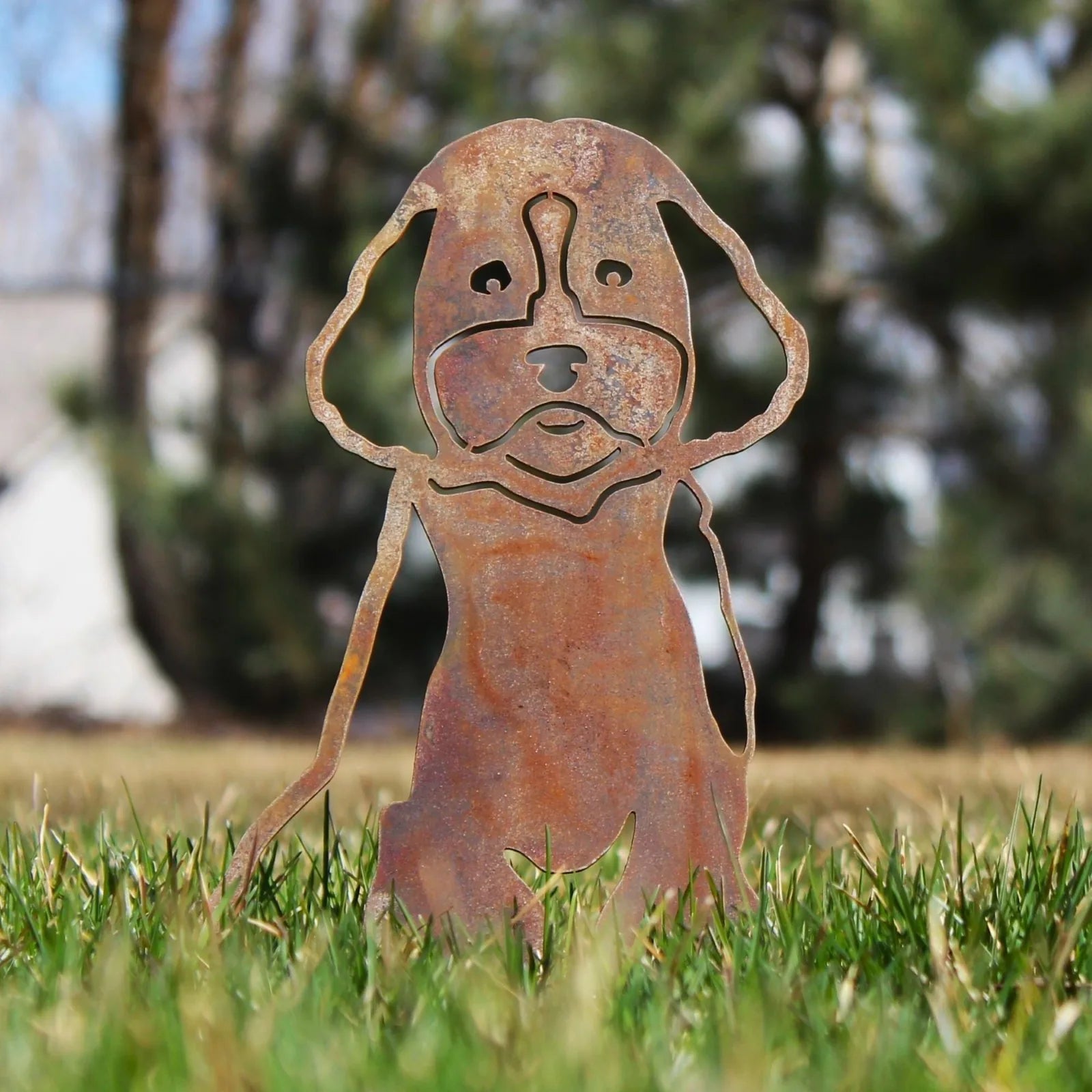 Corten steel Cockapoo silhouette garden decor with a rust patina, standing in bright green grass.