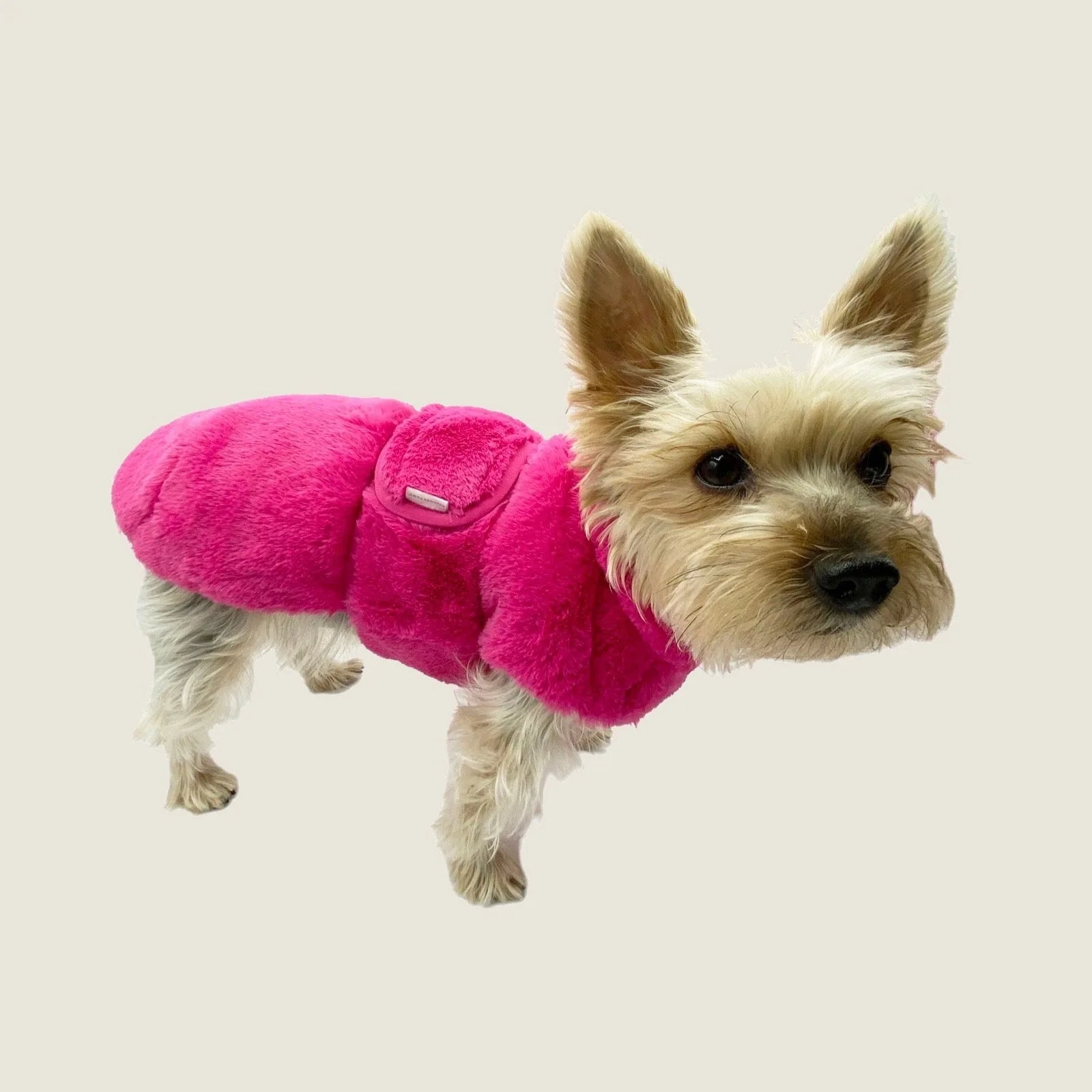 Small dog wearing a bright hot pink faux fur vest with a plush texture and adjustable straps.