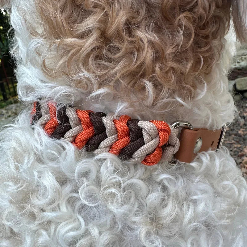Hand-braided dog collar in burnt orange, walnut brown, and light tan, featuring a sturdy D-ring and adjustable strap.