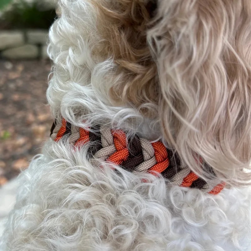 Hand-braided dog collar in burnt orange, walnut brown, and light tan, showcased on a fluffy dog's neck.