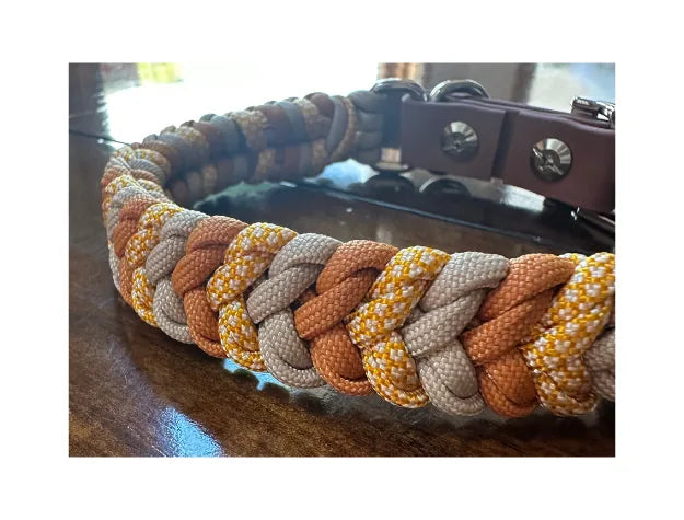 Handmade coiled dog collar featuring mustard, goldenrod, and light tan braided nylon with a brown buckle and silver hardware.