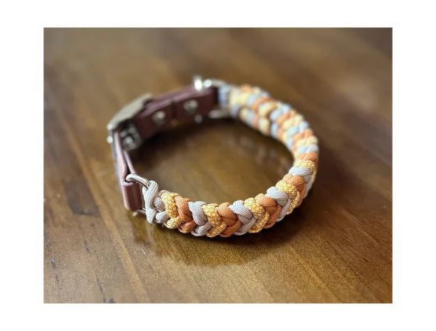 Handmade braided dog collar in mustard, goldenrod, and light tan with a brown buckle and silver hardware, resting on wood.