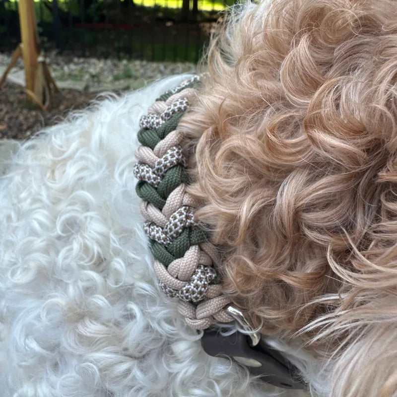 Hand-braided dog collar in olive, light tan, and coyote brown on a curly-haired dog, highlighting the unique pattern and t...