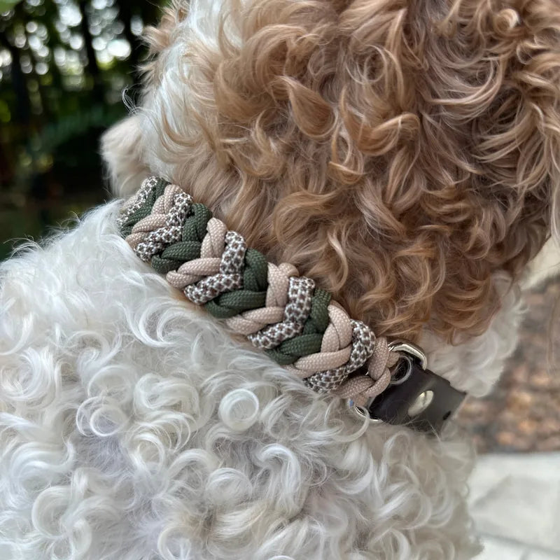 Hand-braided dog collar in olive green, light tan, and coyote brown on a curly-haired dog, featuring a dark brown strap.