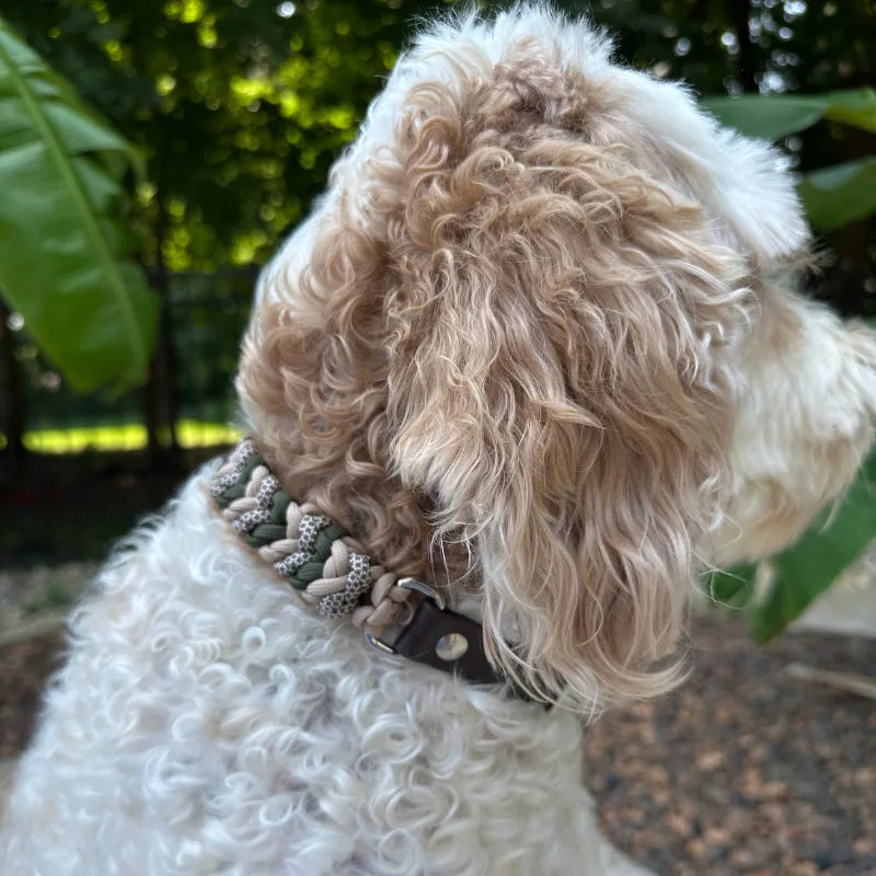 Hand-braided dog collar in olive, light tan, and coyote brown, featuring an adjustable dark brown strap.