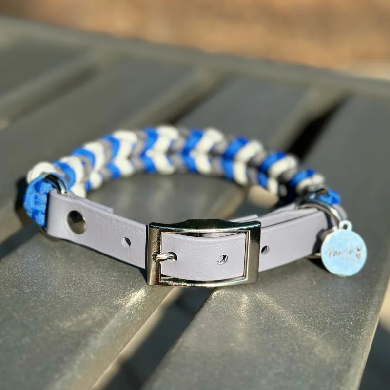 Coiled charm dog collar in royal blue, graphite, and white with a gray adjustable strap and nickel-plated buckle.