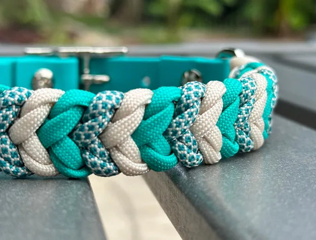 Handmade dog collar featuring a braided design in teal and cream, crafted from durable nylon paracord.