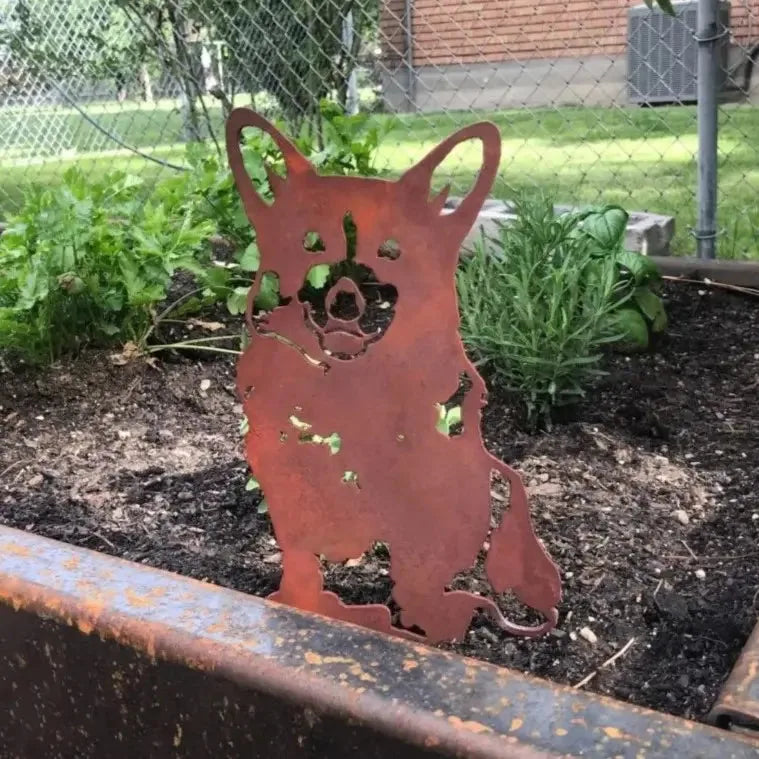Corgi metal silhouette in weathered Corten steel, set in a garden bed with greenery and soil.