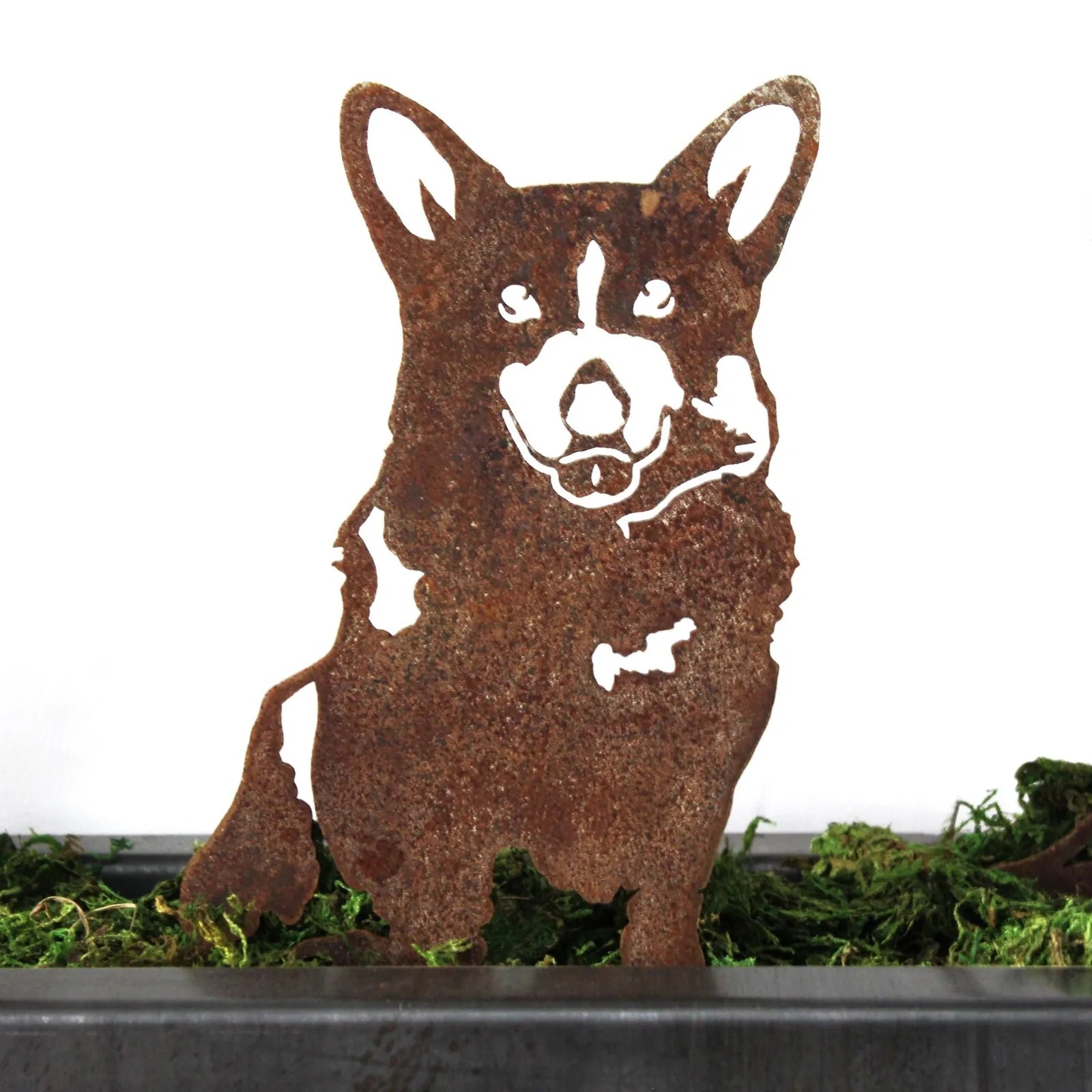 Rusty Corgi metal silhouette standing on green moss, perfect for outdoor garden decor by My Metal Rescue.