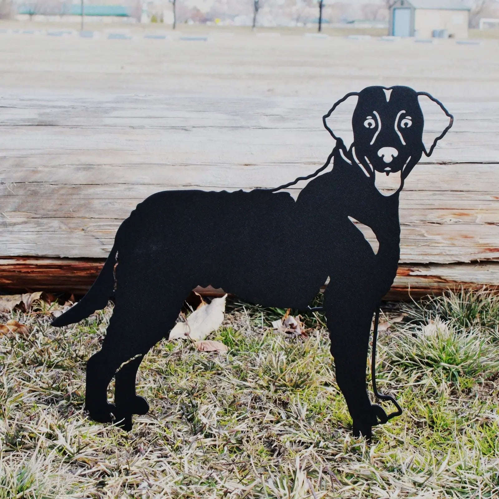 Curly Coated Retriever metal silhouette in a matte black finish, displayed on grass with wooden logs in the background.