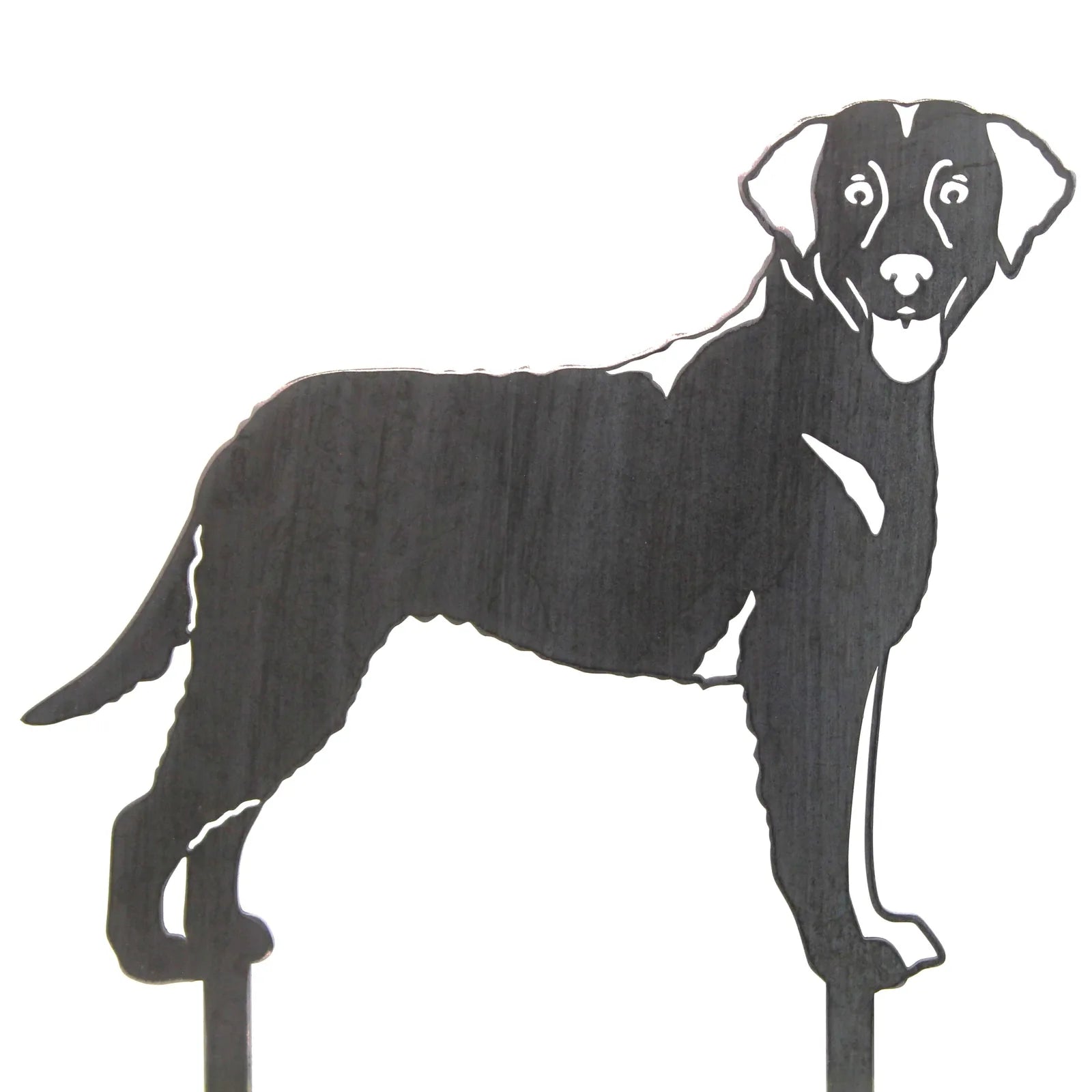 Curly Coated Retriever silhouette in matte black metal, perfect for outdoor decor and dog lovers.