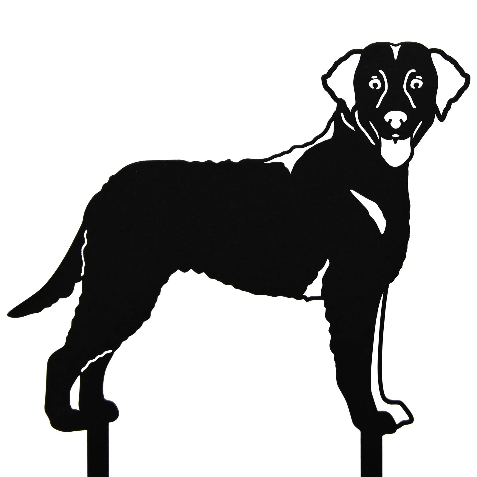 Curly Coated Retriever metal silhouette in matte black, showcasing a standing dog design for outdoor decor.