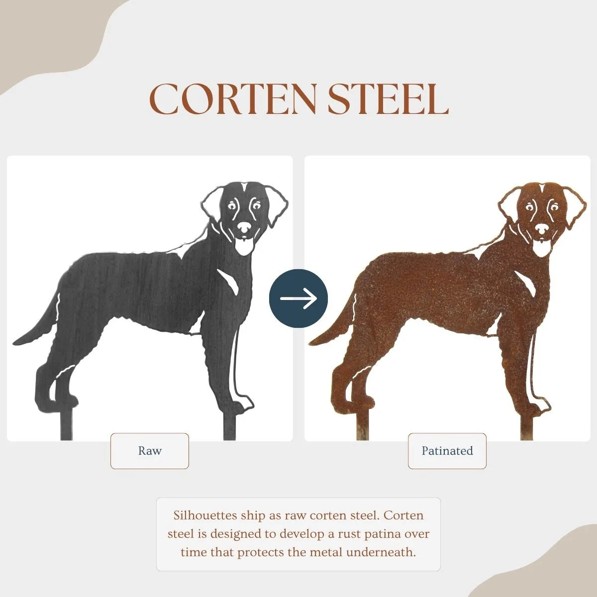 Curly Coated Retriever metal silhouette in raw Corten steel, showcasing its design and patina evolution over time.