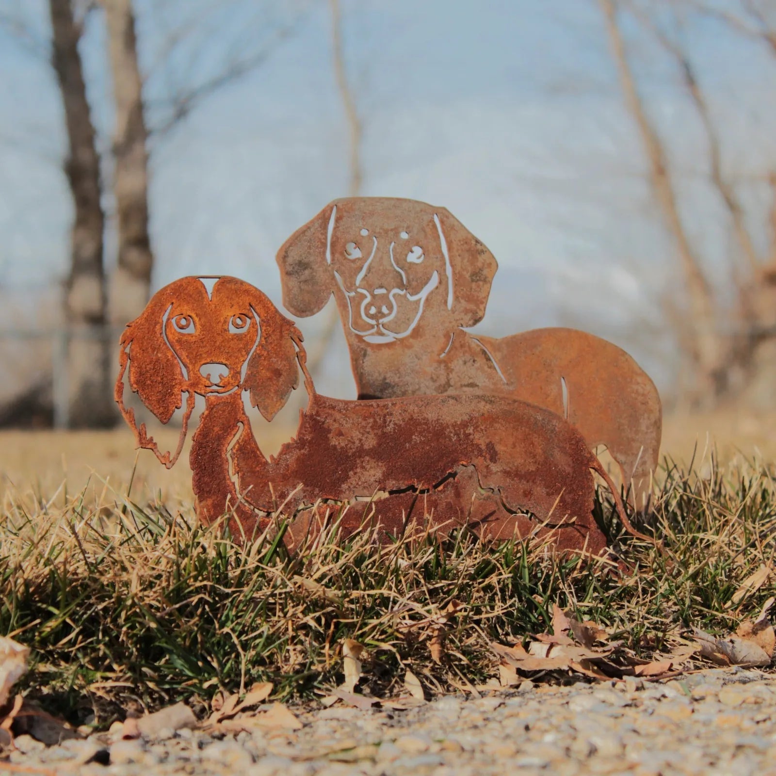 Rusty metal silhouette of two longhaired Dachshunds standing on grass, showcasing detailed design and rustic charm.