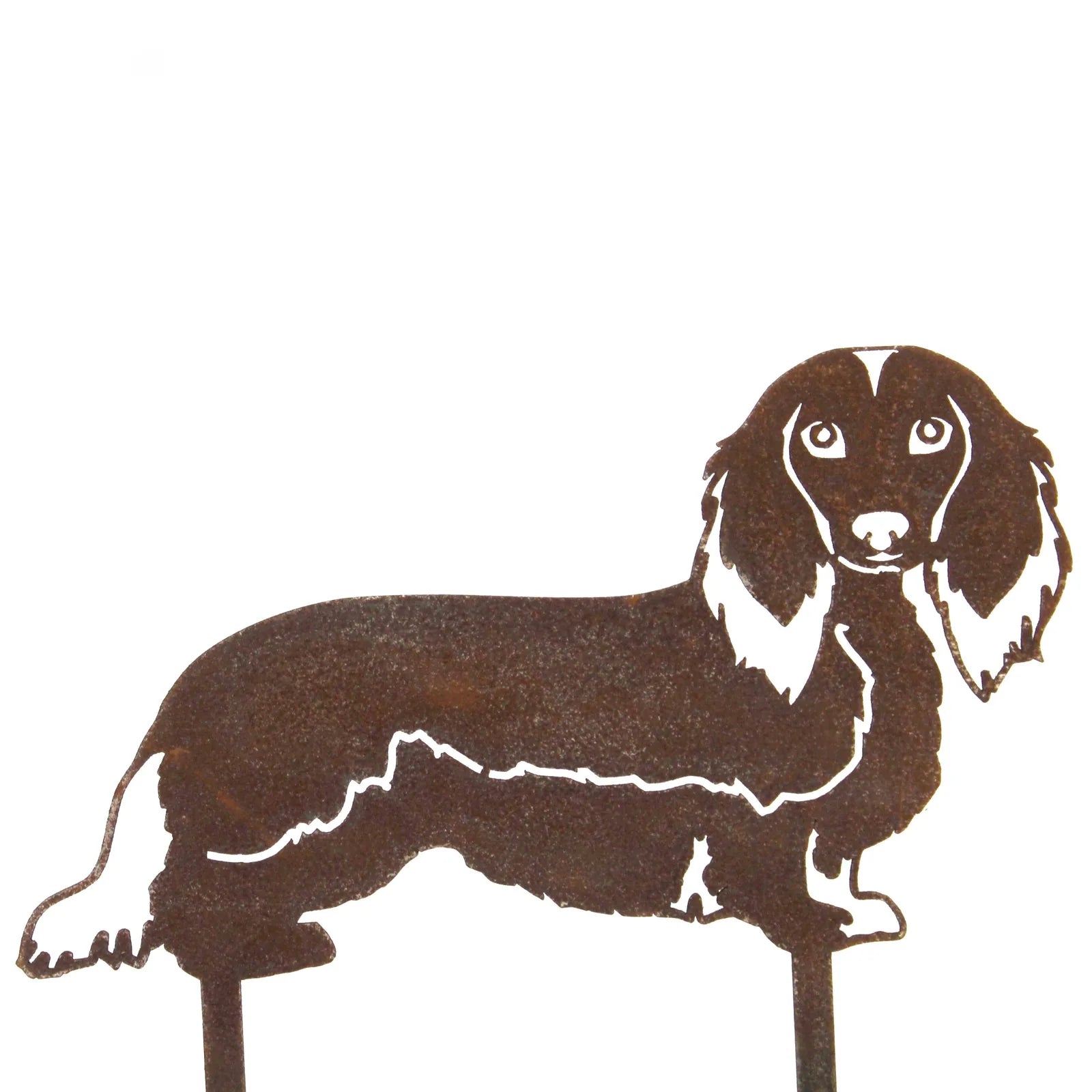 Longhaired Dachshund metal silhouette in Corten steel, featuring a rustic finish and detailed design for outdoor decor.