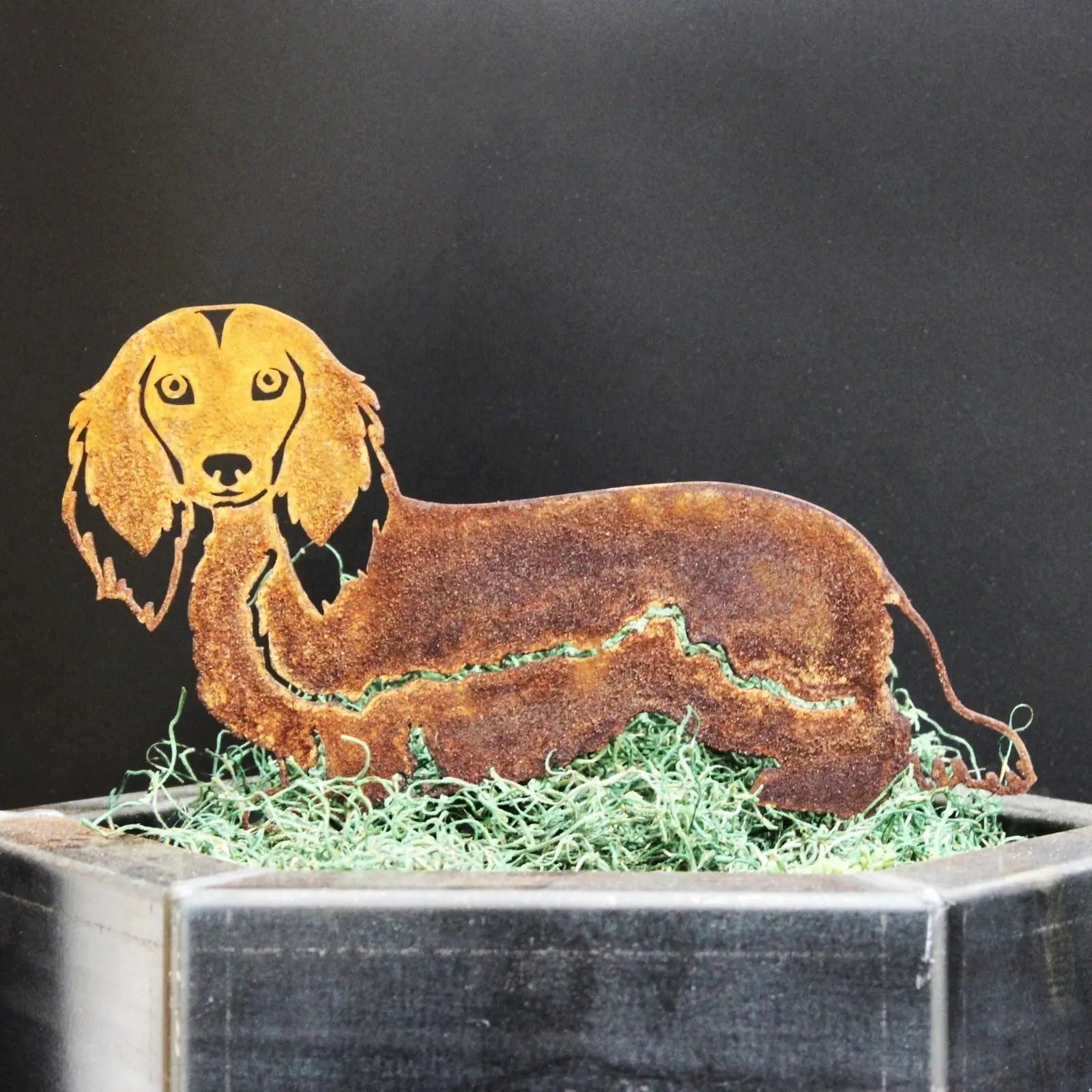 Longhaired Dachshund metal silhouette in weathered Corten steel, resting on green decorative moss.