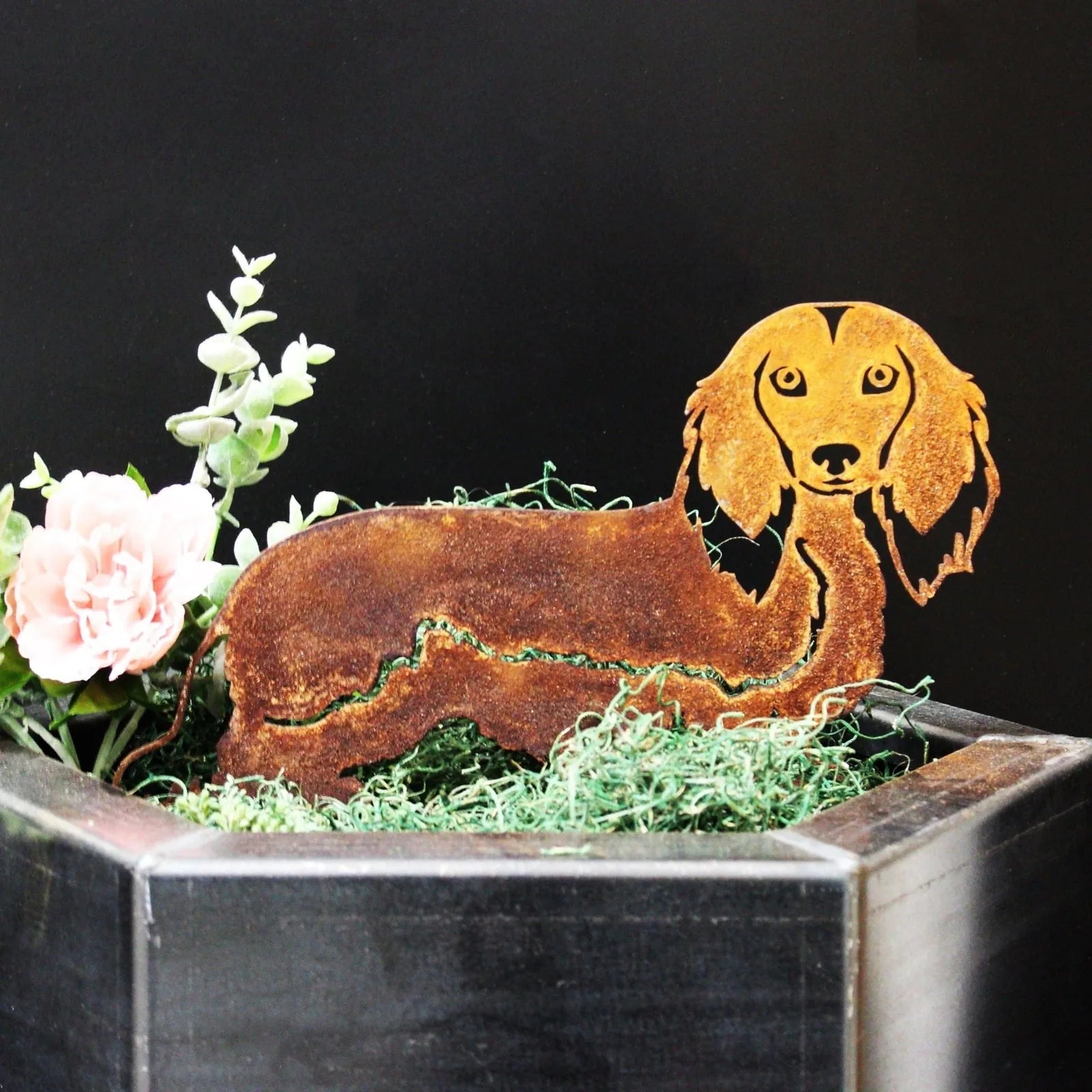Rusty metal silhouette of a longhaired Dachshund, set in green moss with pink flowers, highlighting rustic garden decor.