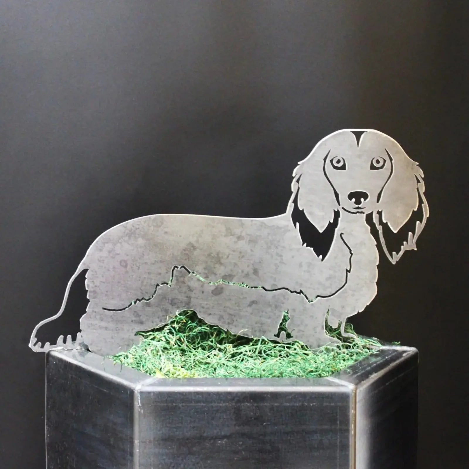 Metal silhouette of a longhaired Dachshund in a rustic steel finish, displayed on green moss against a dark background.