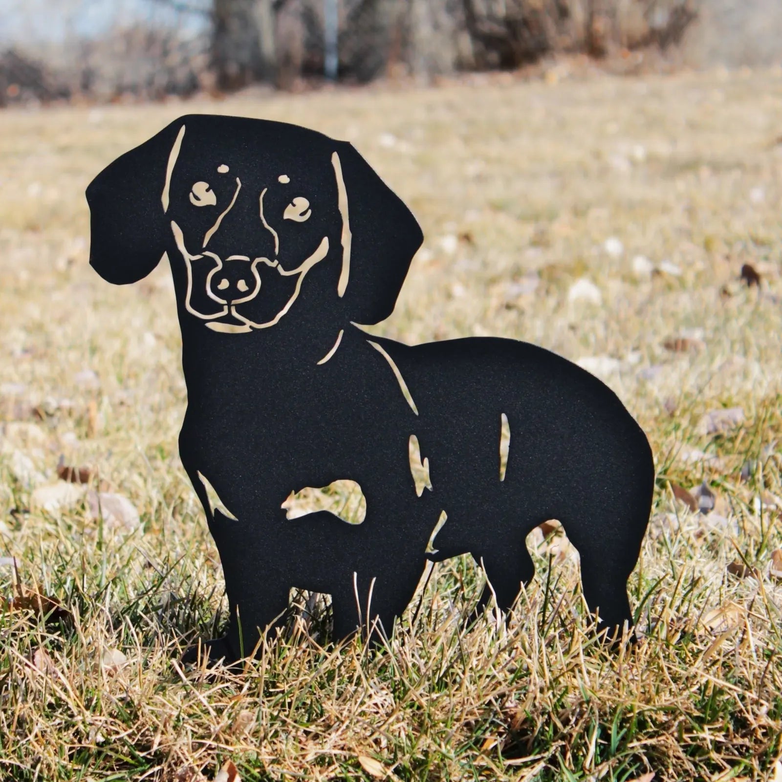 Black metal silhouette of a Dachshund dog standing in grass, showcasing artistic design and outdoor decor appeal.