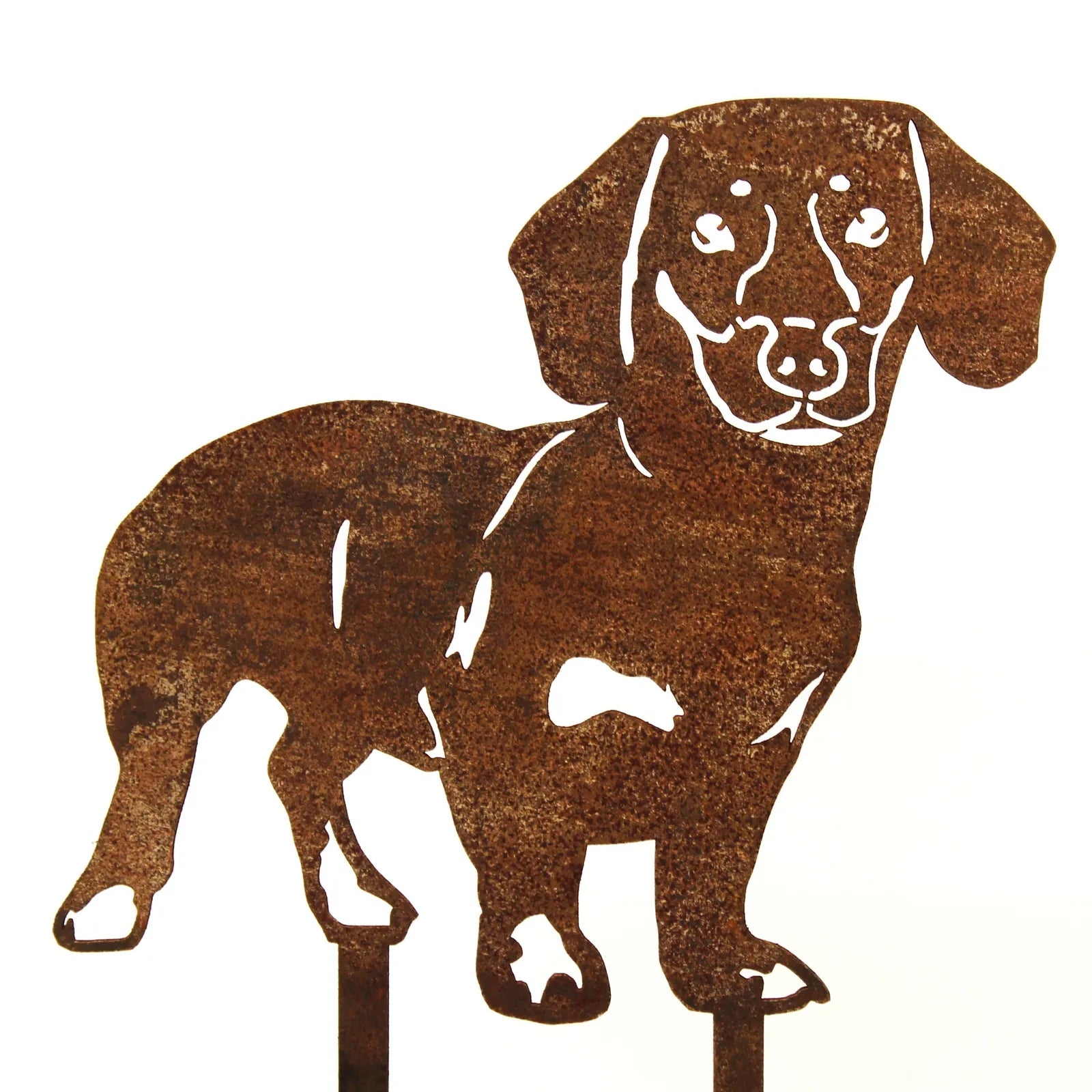 Rusty metal silhouette of a shorthaired Dachshund, showcasing its playful stance, perfect for outdoor decor.