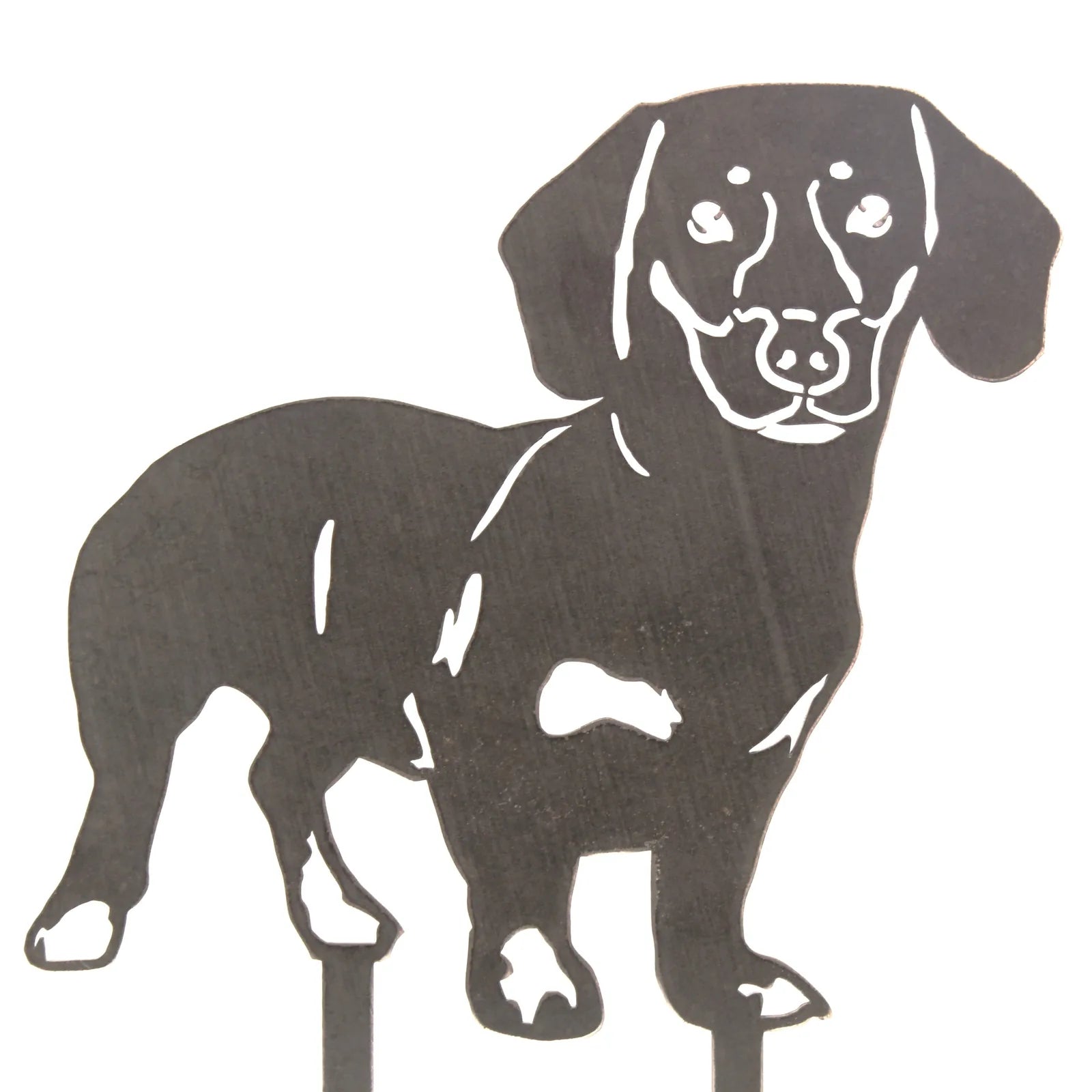 Black metal silhouette of a shorthaired Dachshund, designed for outdoor garden decor or indoor display.