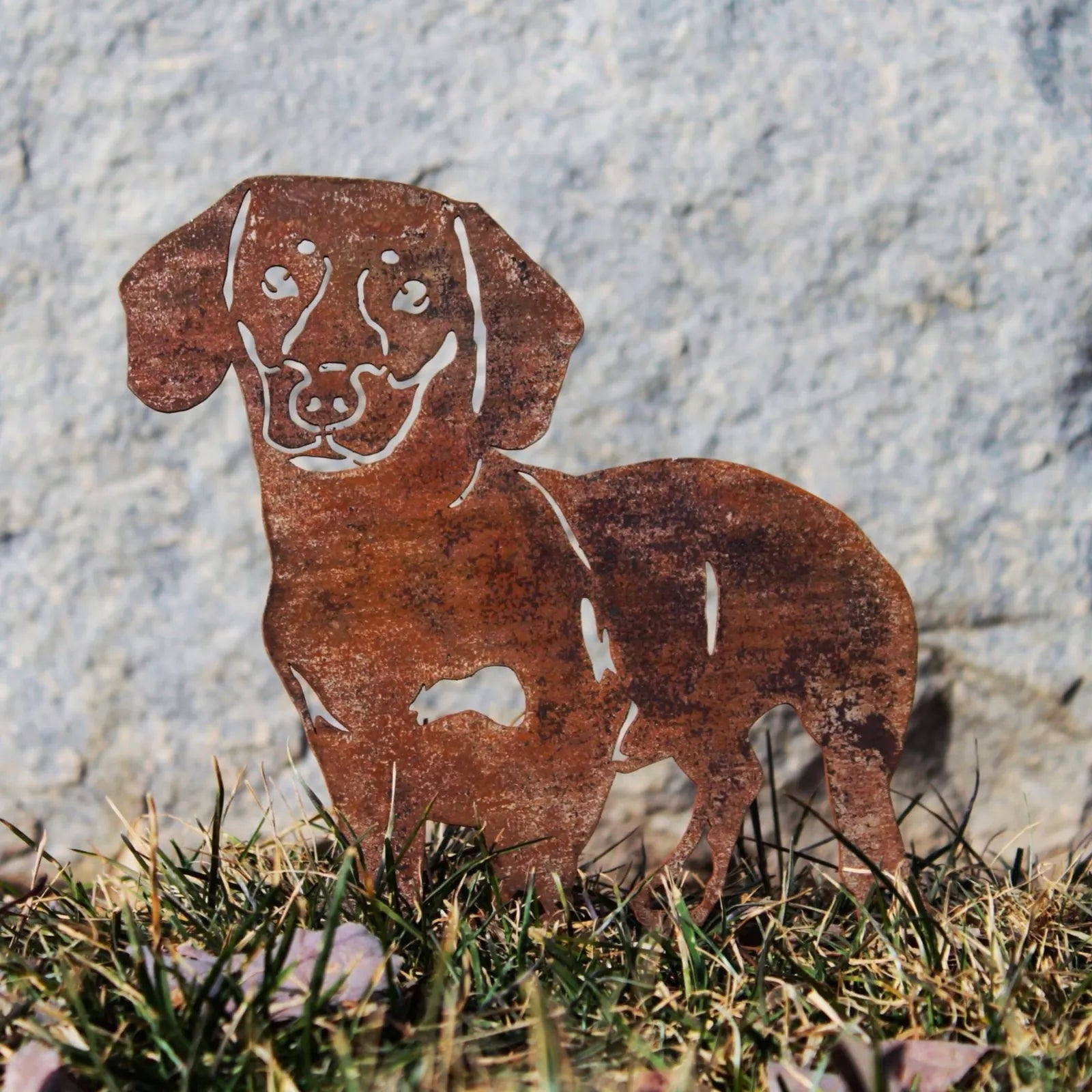 Rustic metal silhouette of a shorthaired Dachshund standing in grass, showcasing the unique patina of Corten steel.