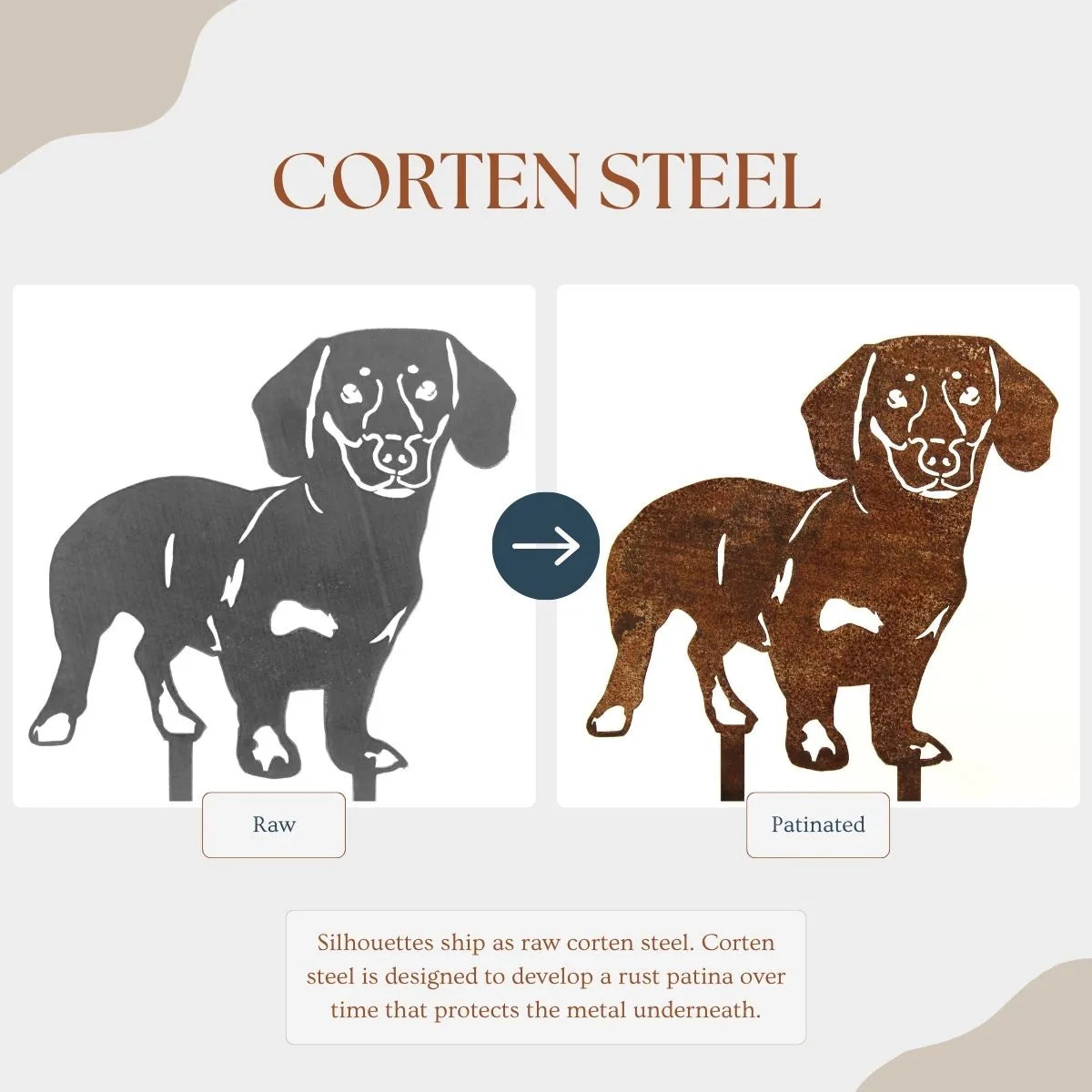 Corten steel silhouette of a Dachshund, showcasing its patina transition from raw to rusted finish.