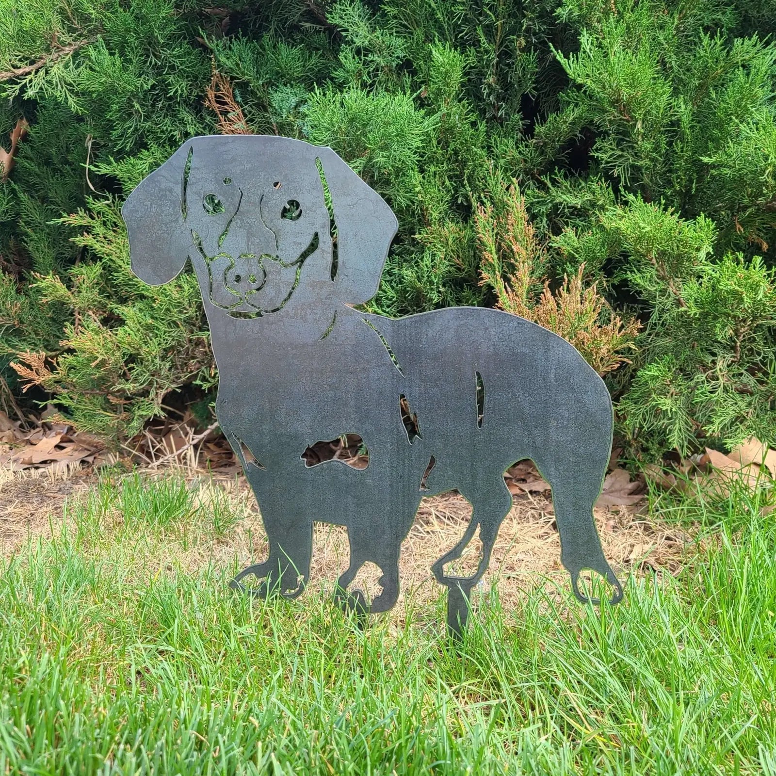 Handmade black metal silhouette of a shorthaired Dachshund, perfect for outdoor decor amidst green foliage.