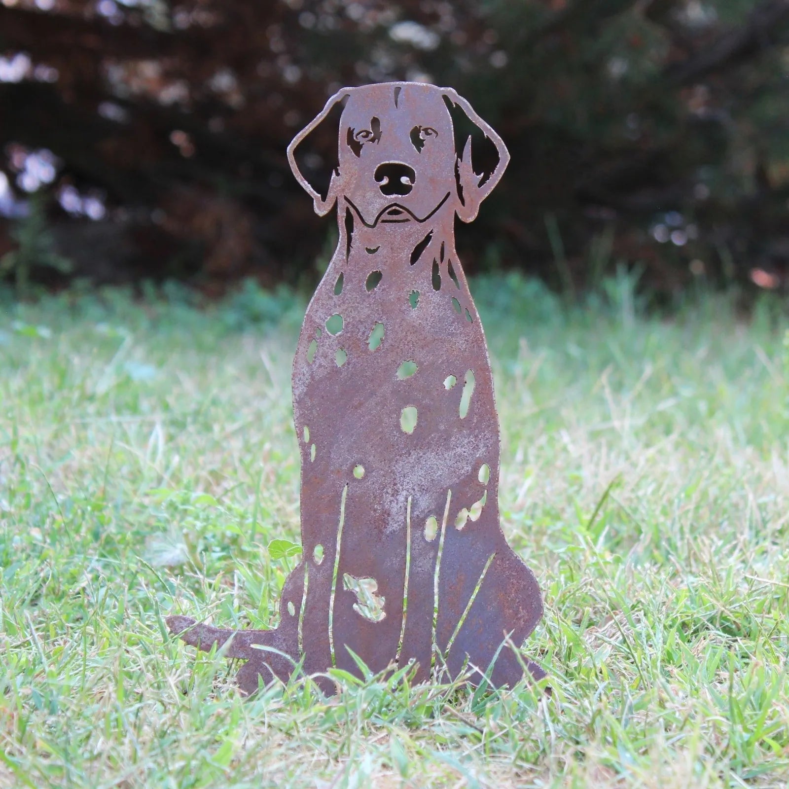 Dalmatian metal silhouette in rustic Corten steel, standing amidst green grass, ideal for outdoor dog decor.