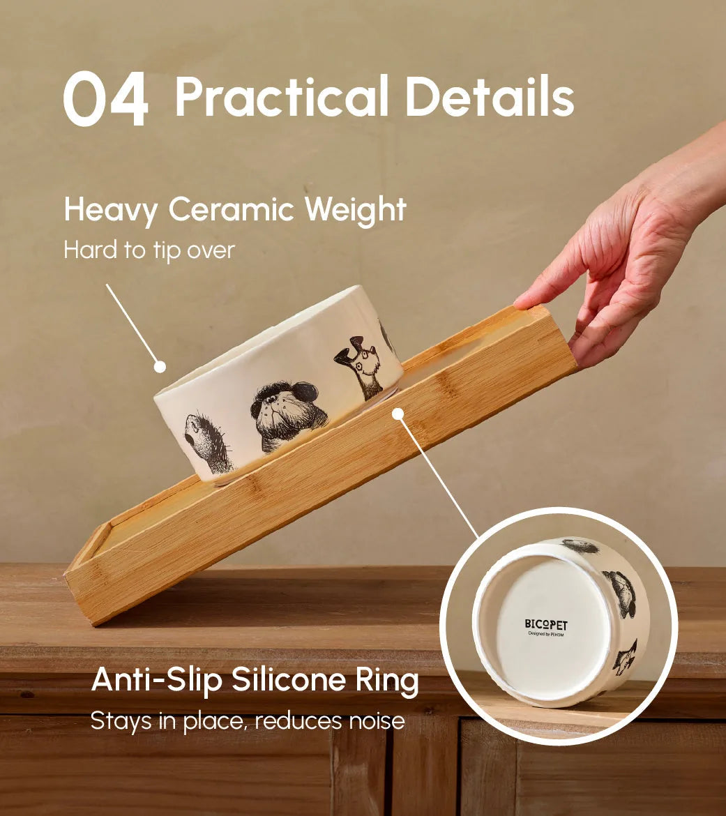 The DERPY BOWL features playful pet illustrations, a heavy ceramic design, and an anti-slip silicone base for stability.
