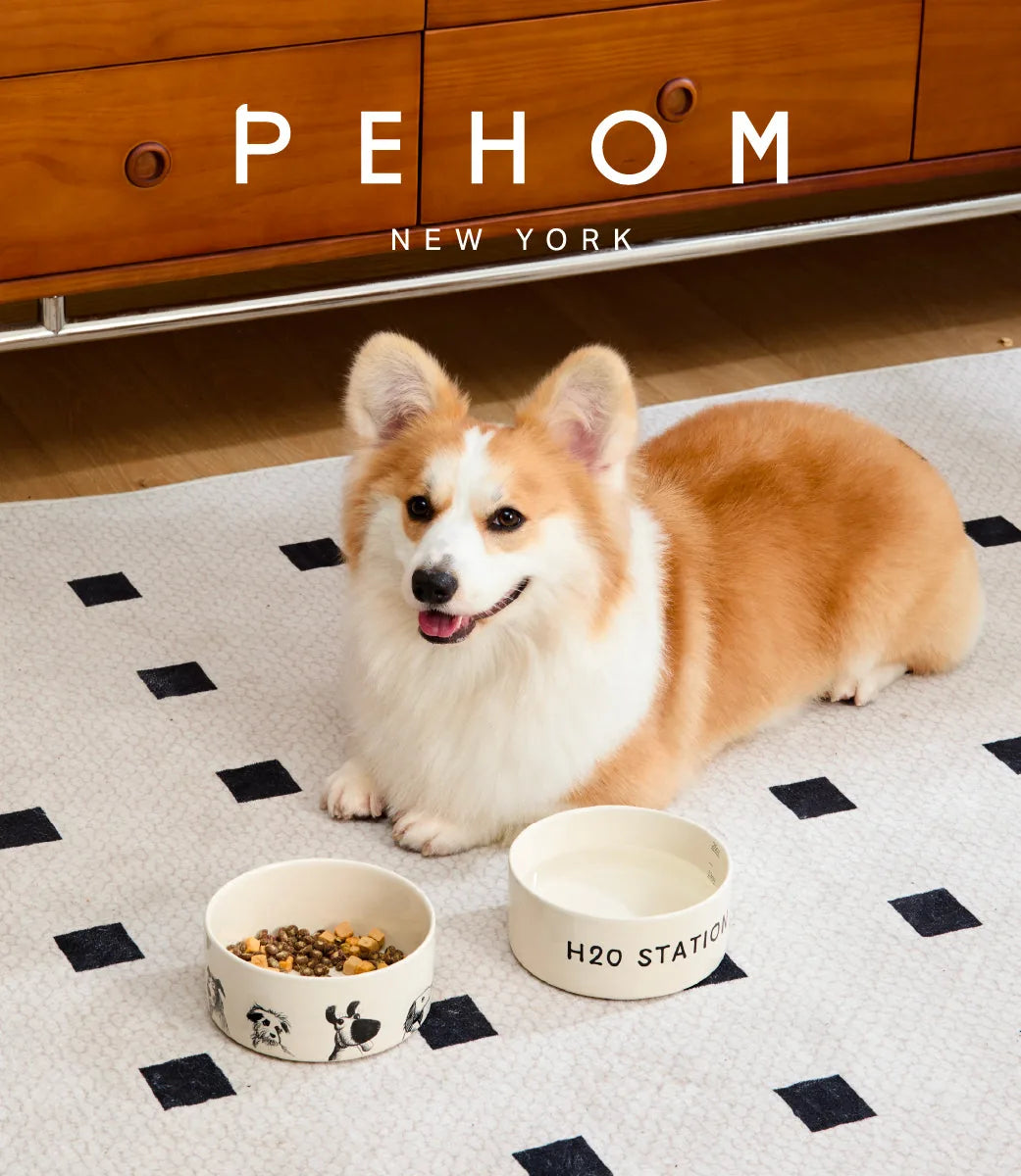 Ceramic pet bowls with playful prints, one filled with food, beside a happy corgi on a patterned rug.