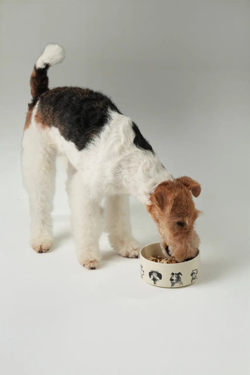 Ceramic DERPY BOWL with playful dog prints, featuring a food-grade design, stability base, and a dog eating from it.