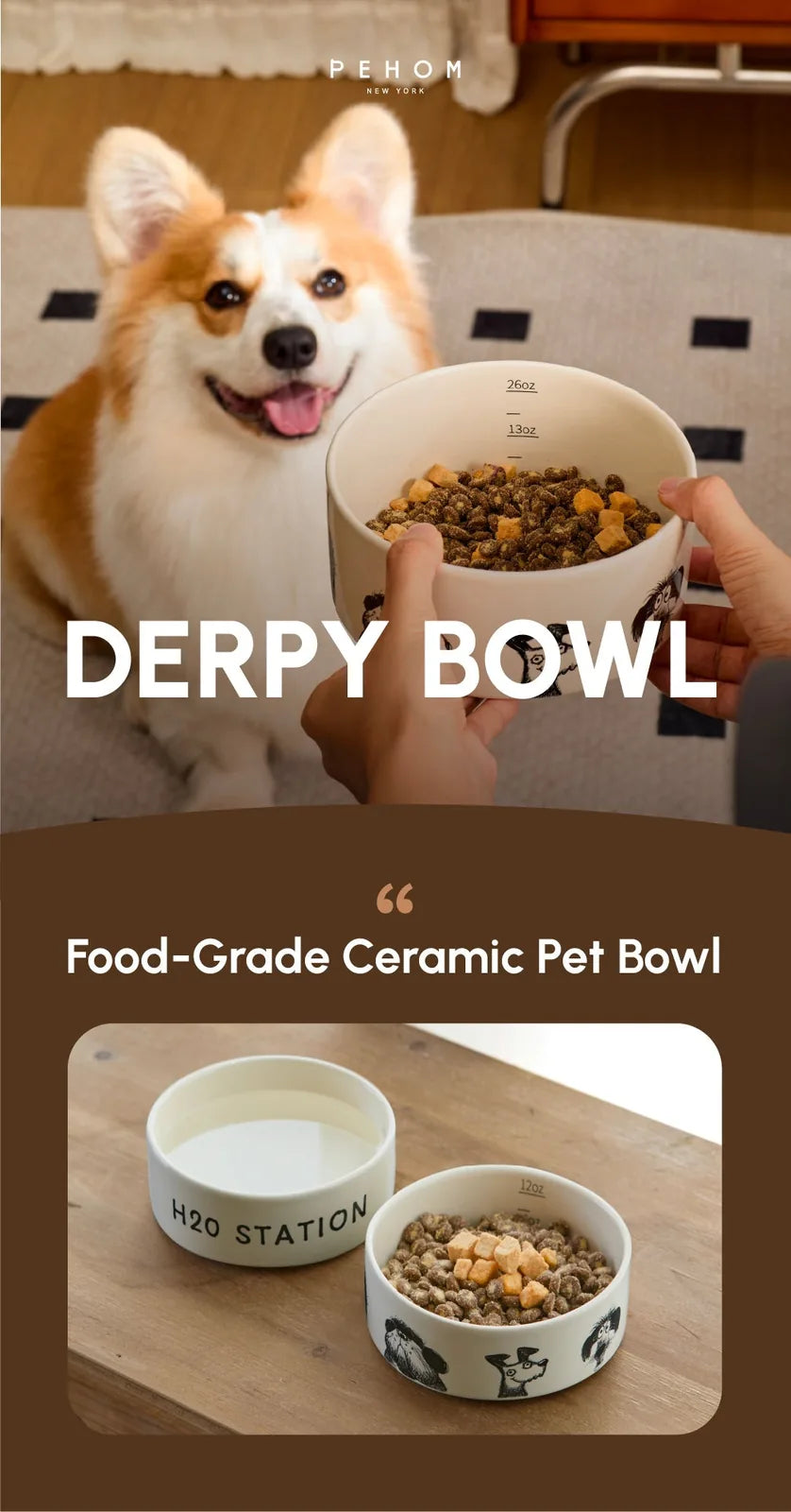 Durable ceramic pet bowl with playful prints and non-slip base, filled with dog food and placed on a wooden table.