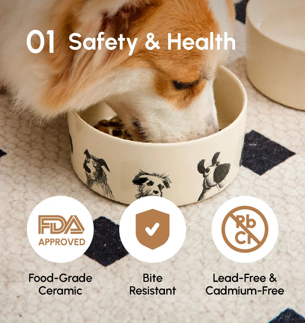 Ceramic pet bowl featuring playful dog illustrations, labeled as food-grade, bite-resistant, and lead-free.