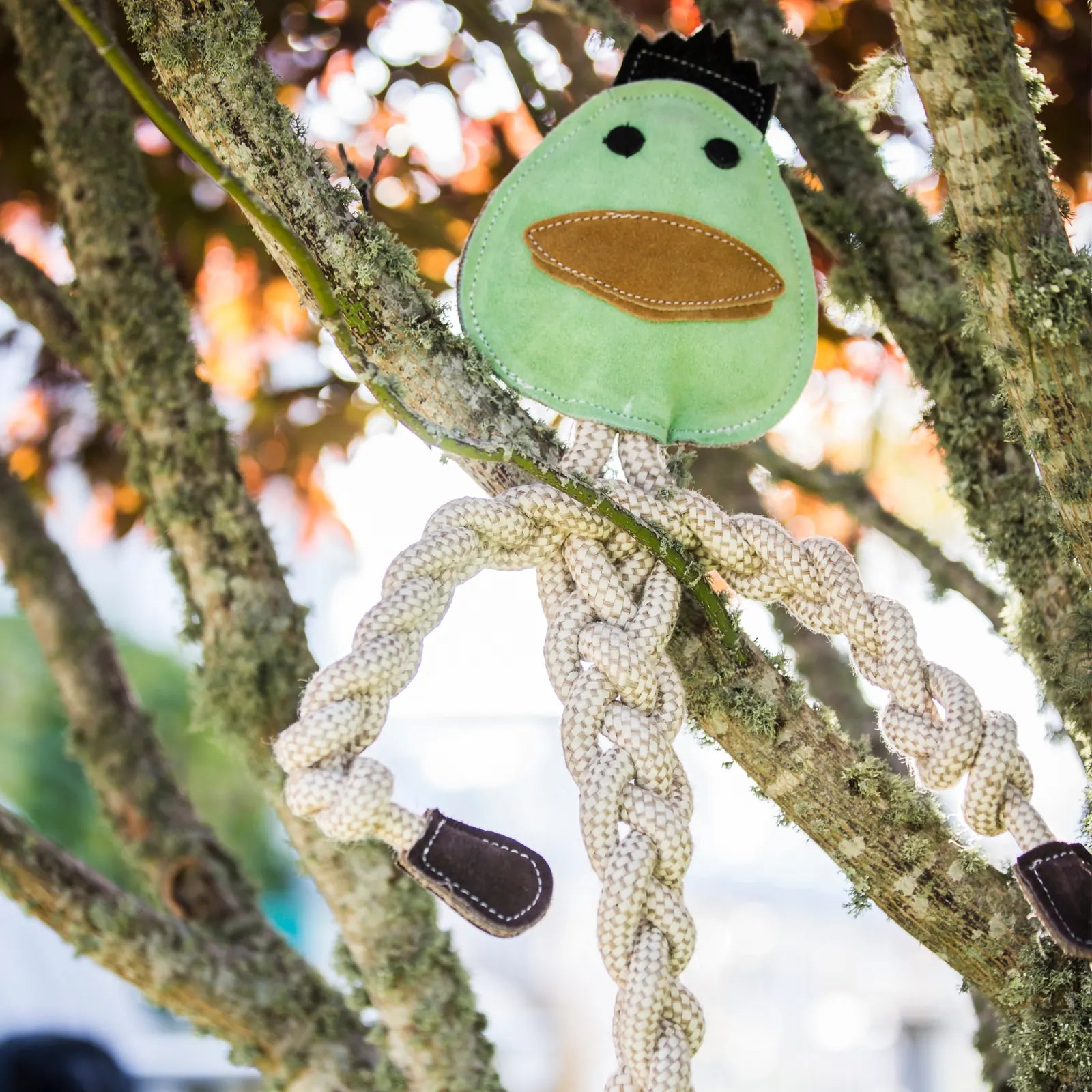 Dilly Duck Rope Knottie® dog toy featuring a green head and braided natural rope limbs, perfect for tough chewers.