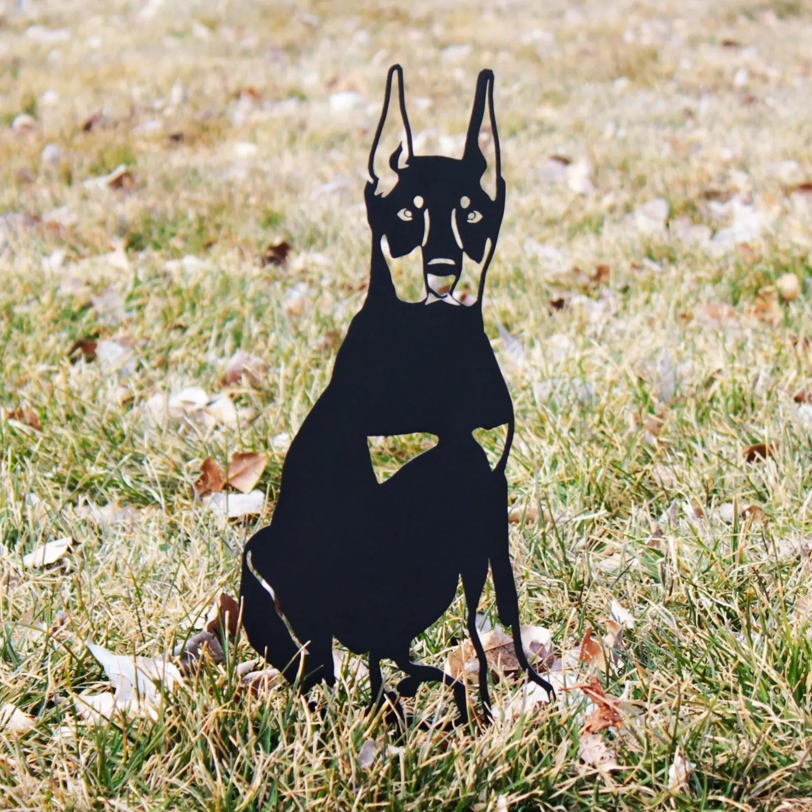 Black metal silhouette of a Doberman Pinscher sitting on grass, showcasing its cropped ears and detailed features.