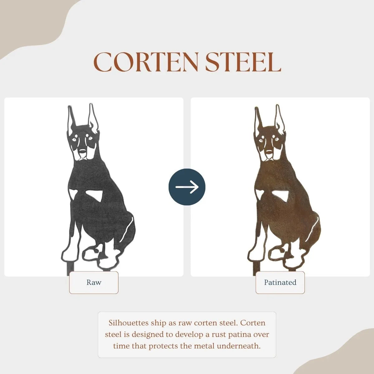 Doberman Pinscher metal silhouette in raw and patinated Corten steel, showcasing design evolution and texture.