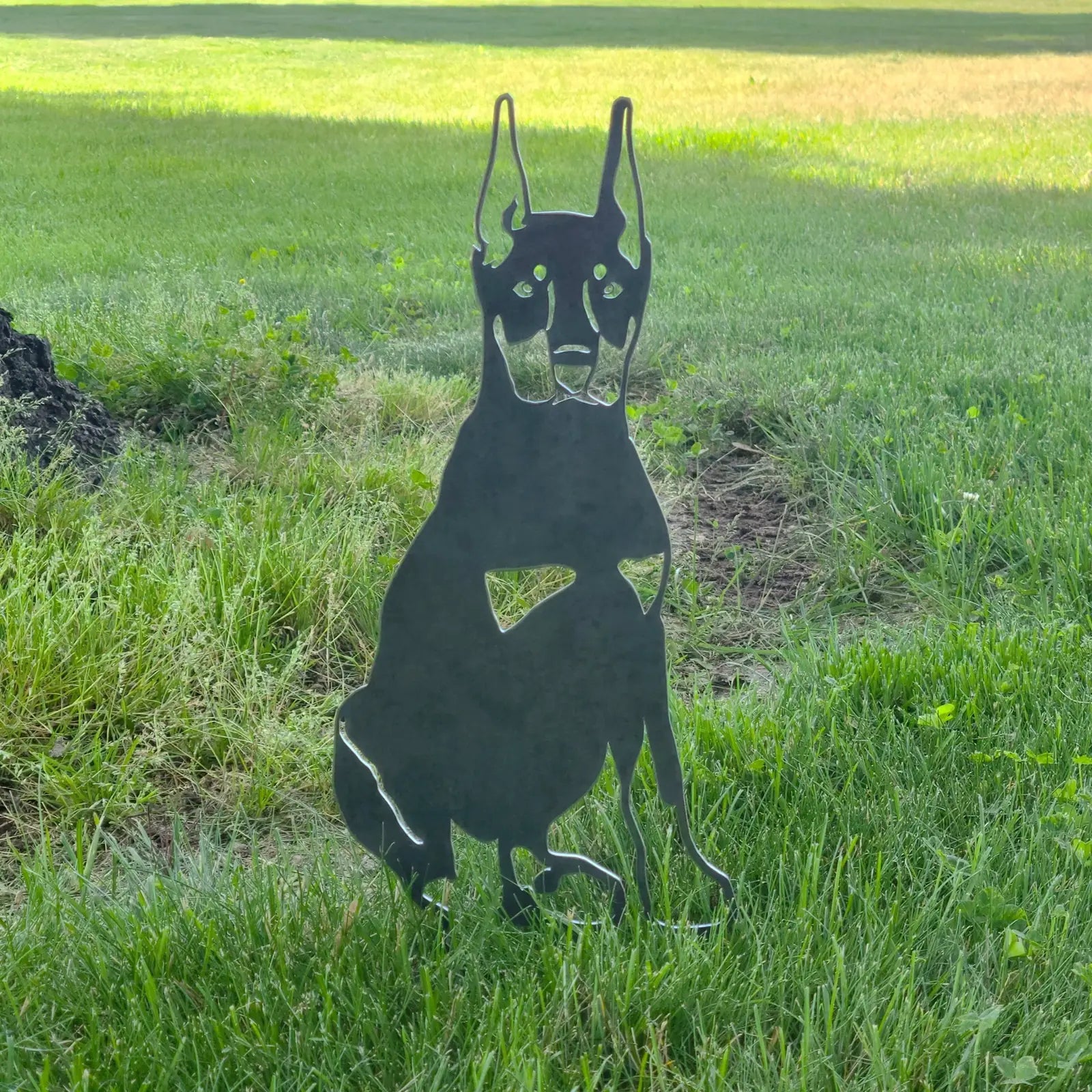 Cropped ear Doberman Pinscher metal silhouette in matte black, standing against a grassy outdoor background.