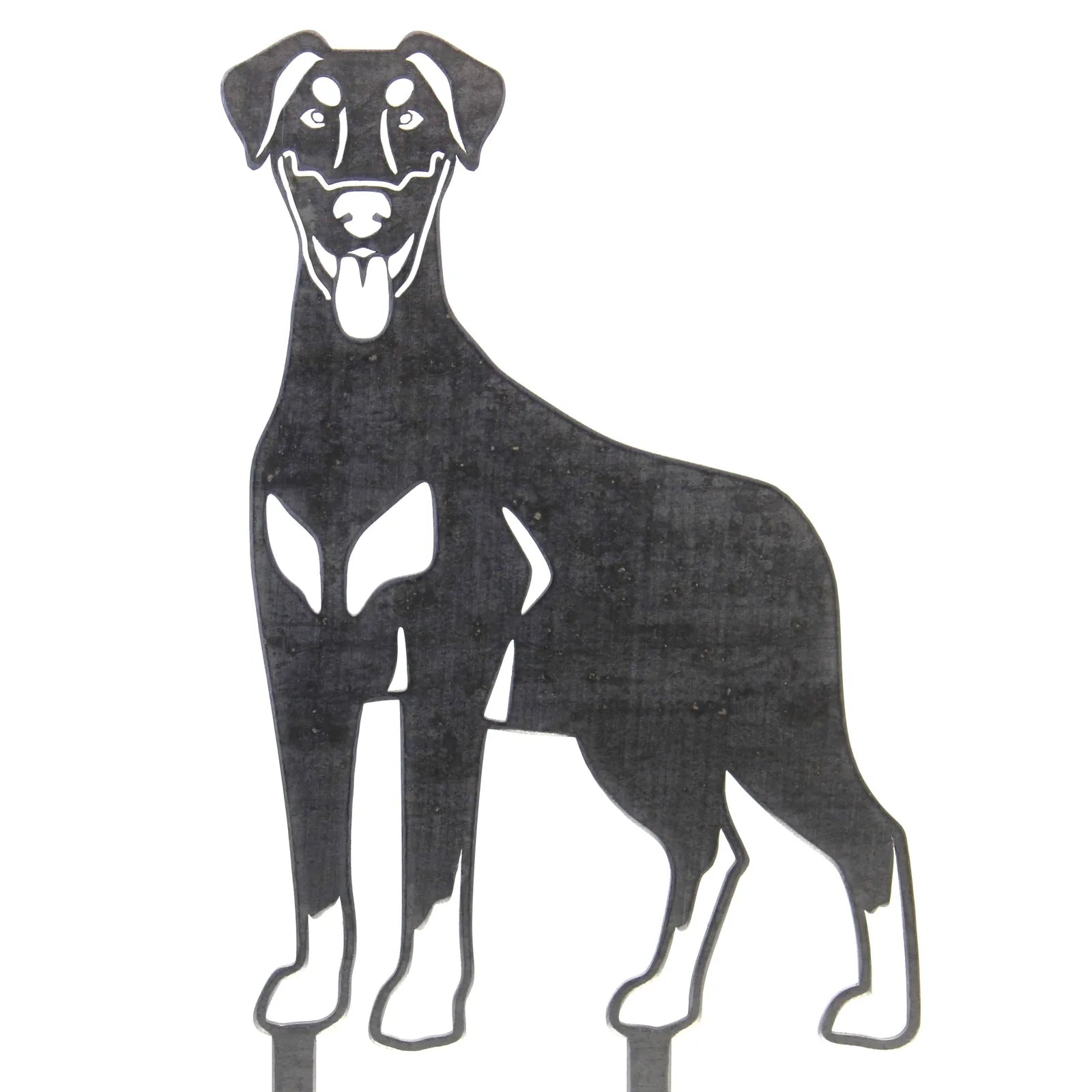 Handmade black metal silhouette of a Doberman Pinscher with natural ears, ideal for outdoor decor.