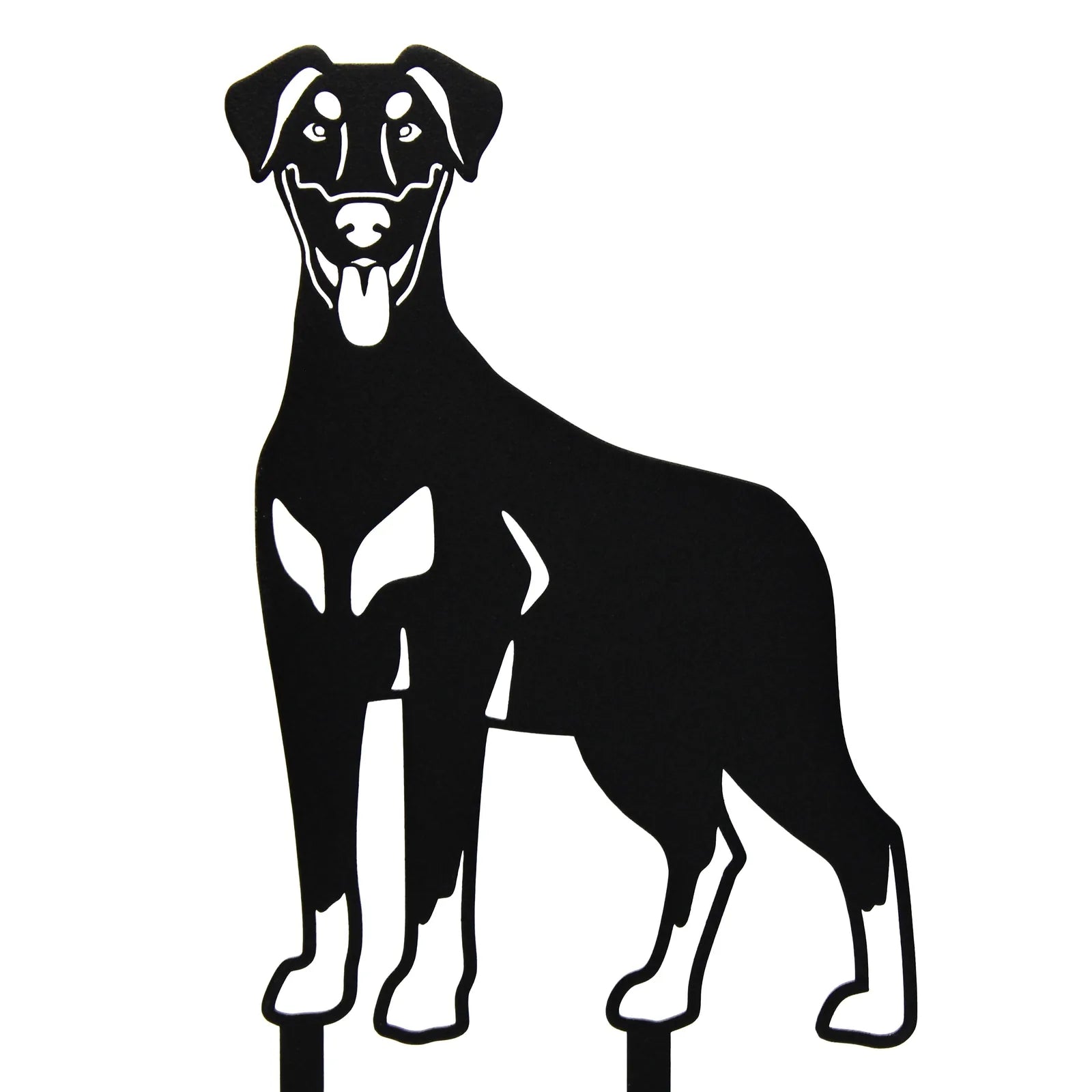Black metal silhouette of a Doberman Pinscher with natural ears, standing proudly, ideal for outdoor decor.