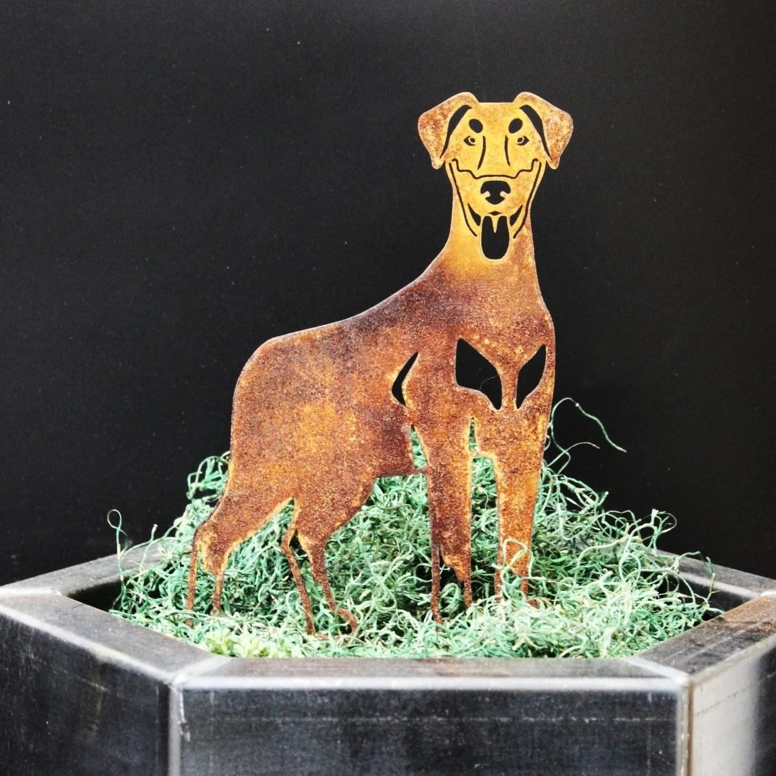 Rustic Doberman Pinscher silhouette in weathered metal, showcasing natural ears, set in decorative green moss.