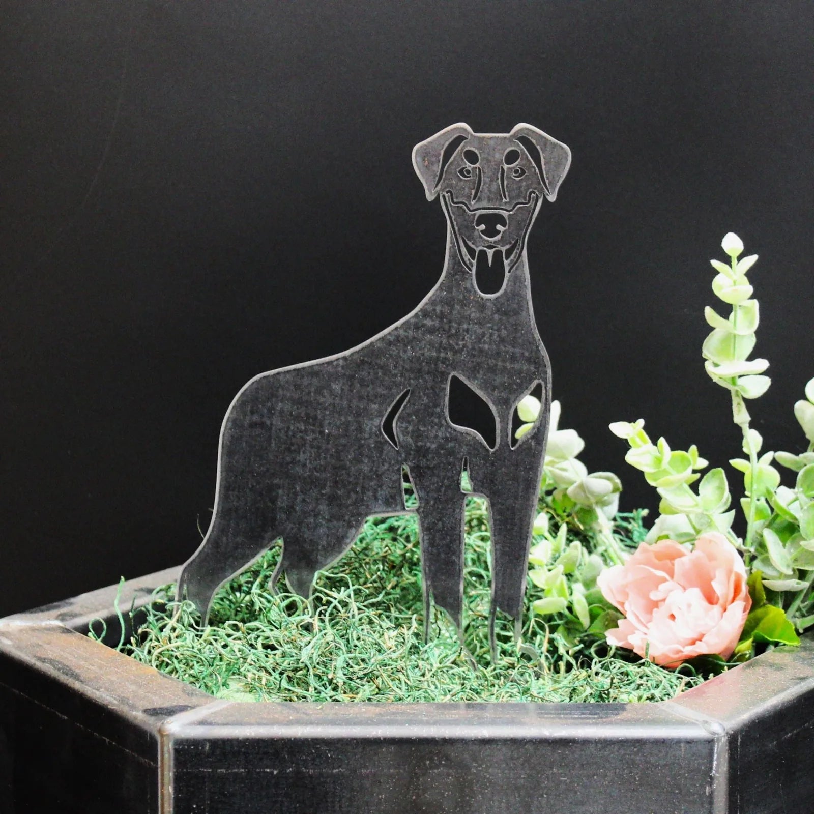 Black metal silhouette of a Doberman Pinscher, showcasing its natural ears, set in decorative green moss.